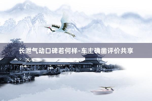 长泄气动口碑若何样-车主确凿评价共享